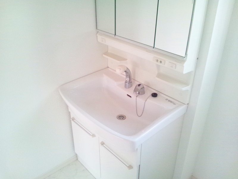 Washroom. Loose also wash