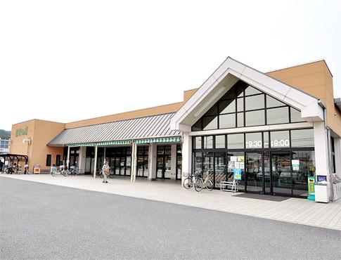 Other Environmental Photo. Shop of housewife 360m until Okada shop