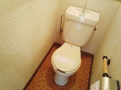 Toilet. Western-style toilet