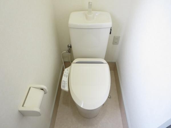 Toilet. It was new toilet exchange