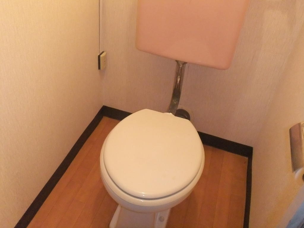 Toilet. Western style