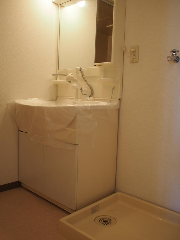 Washroom. Shampoo is Dresser!