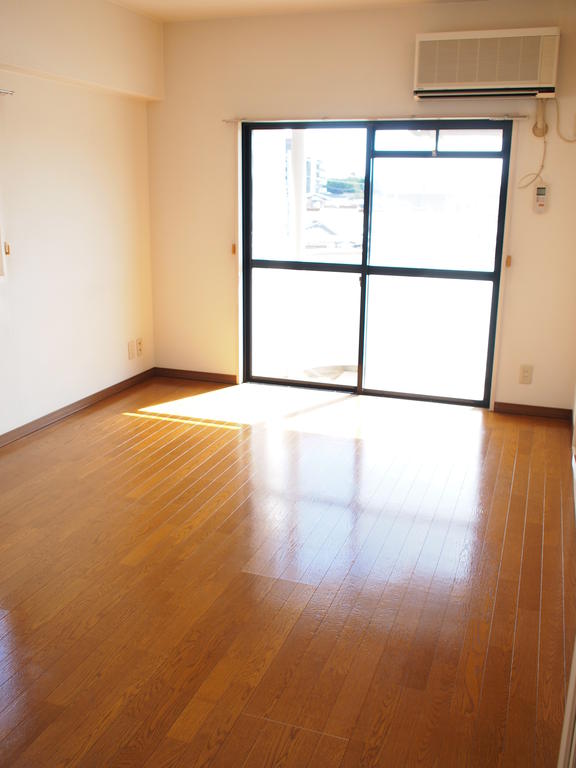 Living and room. Sunny