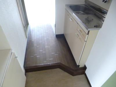 Entrance. It will not insert the light.