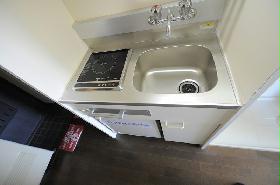 Kitchen. Cooking also easy travel in the electric stove!