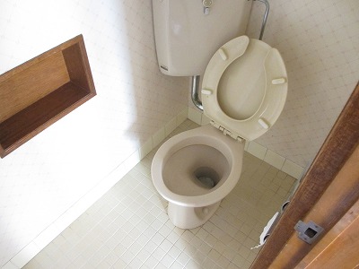 Toilet. Western-style toilet