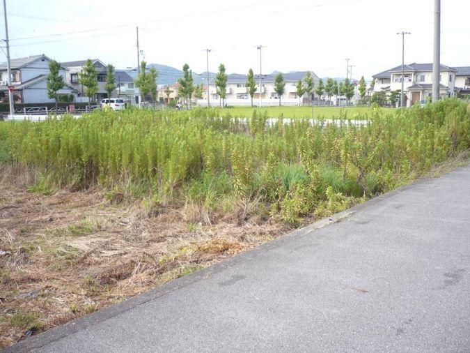 Other local. Current Status: field Your delivery at the completed residential land