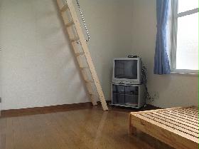 Living and room. First floor room