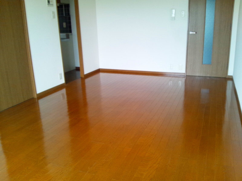 Living and room. Western style room