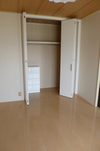 Living and room. Toilet