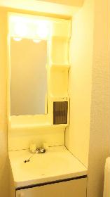 Other. It is a convenient independent wash basin!