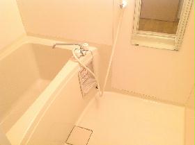 Bath. Spacious bathtub