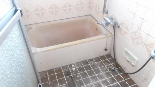 Bathroom. Unit bus replacement plan (renovation before photo)