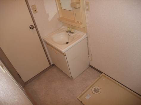 Washroom. Bathroom vanity