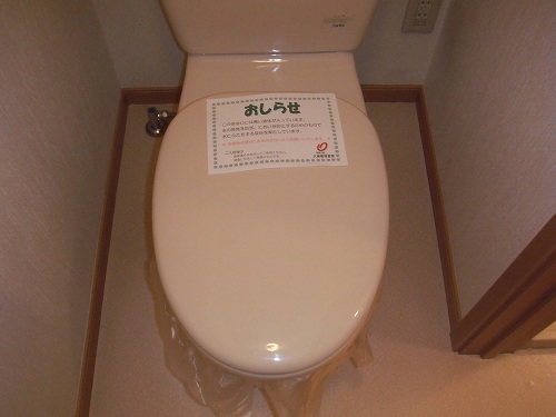Toilet