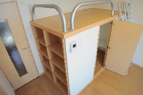 Living and room. Under the bed is the storage space. closet.