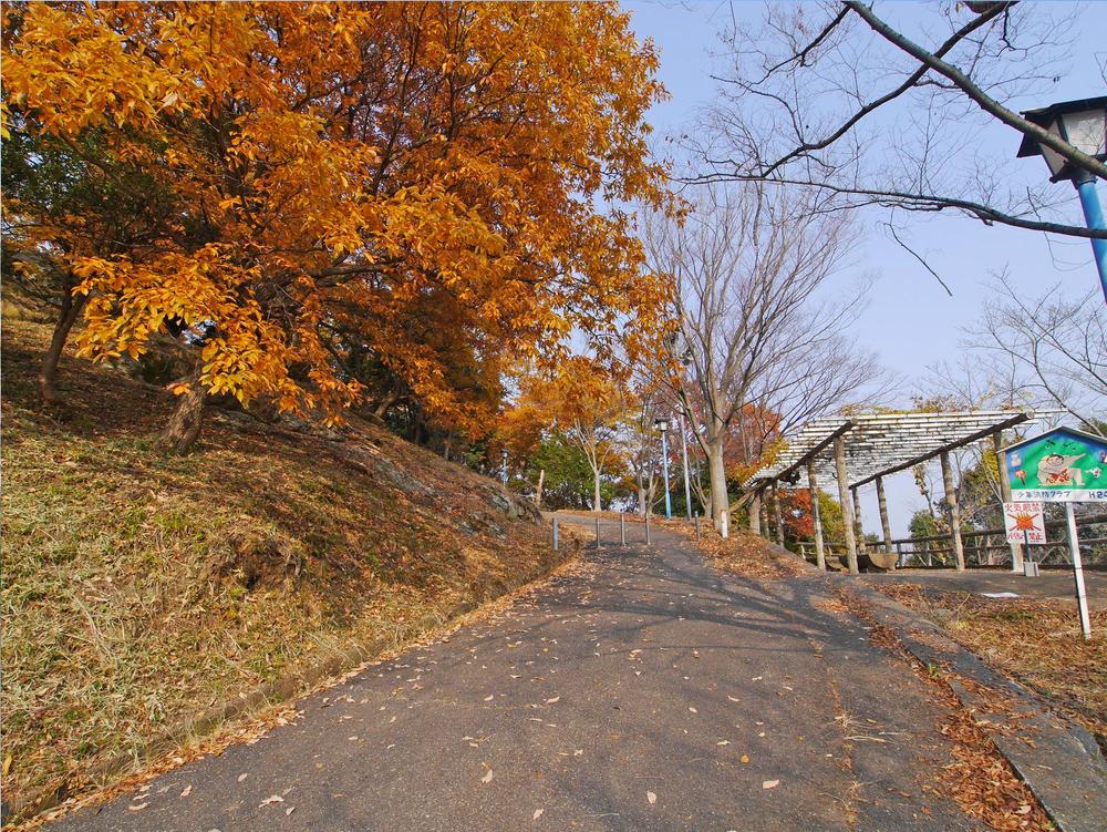 Other. A 5-minute walk of Taishiyama park.