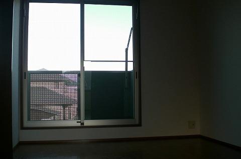 Other. Western-style the 6