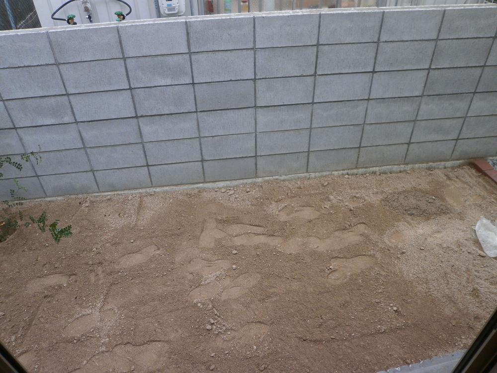 Garden. (December 2013) Shooting