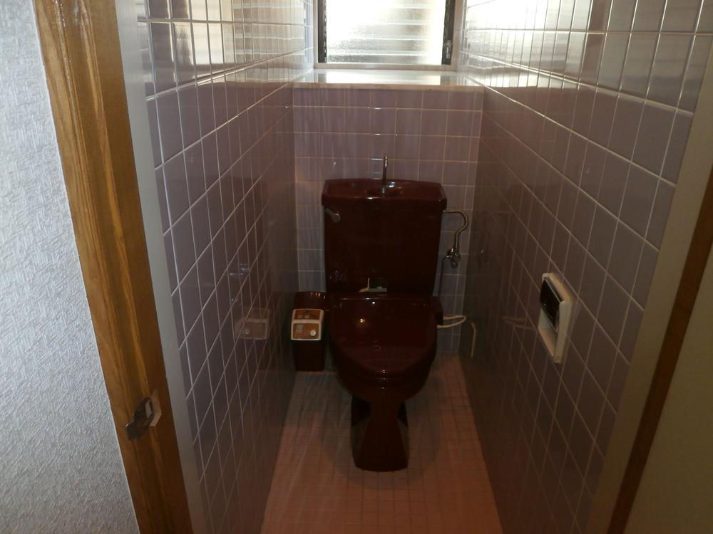 Toilet. Indoor (10 May 2013) Shooting