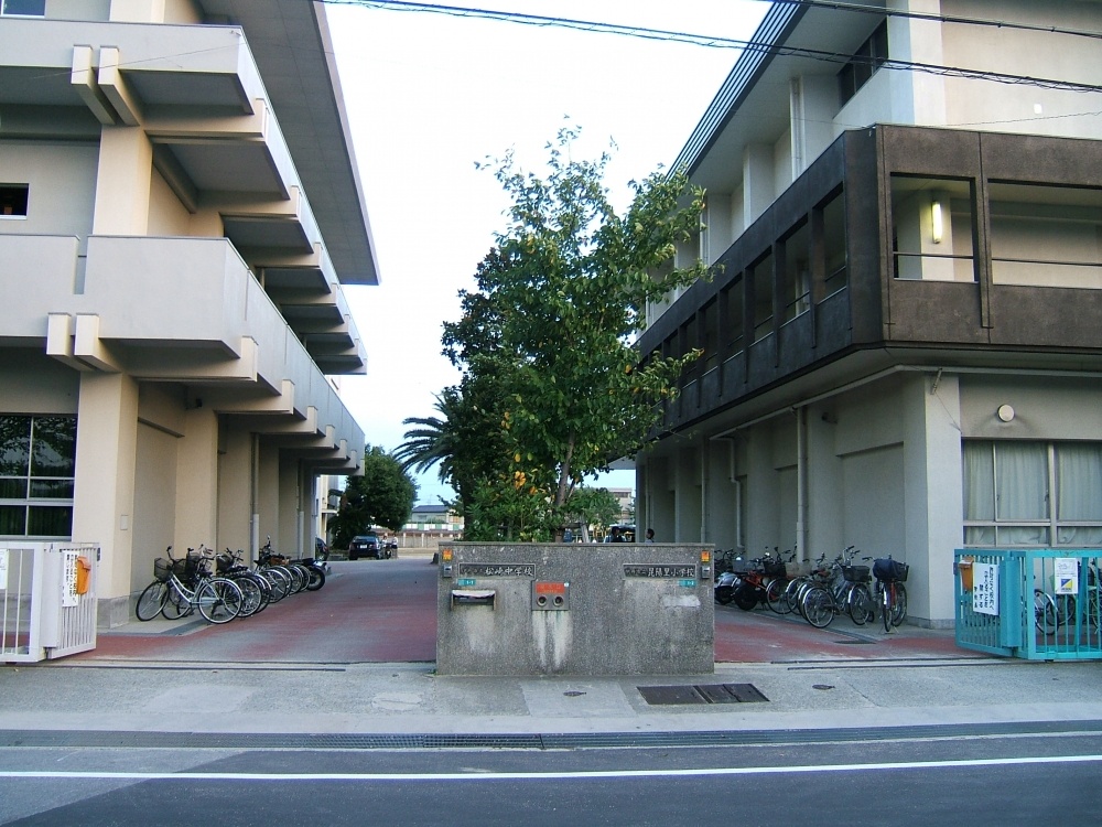 Junior high school. 1264m to Itami Matsuzaki junior high school (junior high school)
