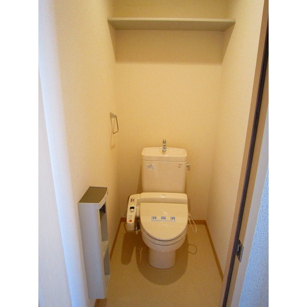 Toilet. Another room photo