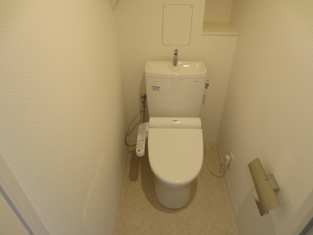 Toilet. Toilet replacement already