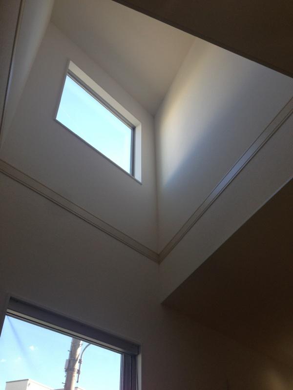 Other introspection. Atrium part