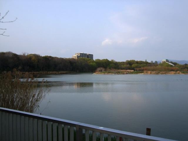 park. Coyhaique park