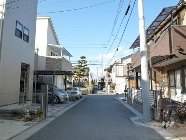 Local photos, including front road