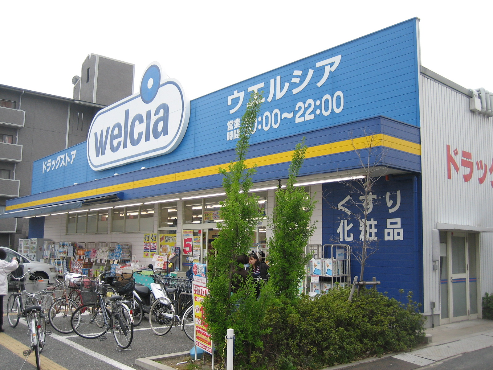 Dorakkusutoa. Uerushia Nakano shop 853m until (drugstore)