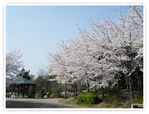 park. Ten 419m up to six people park (park)