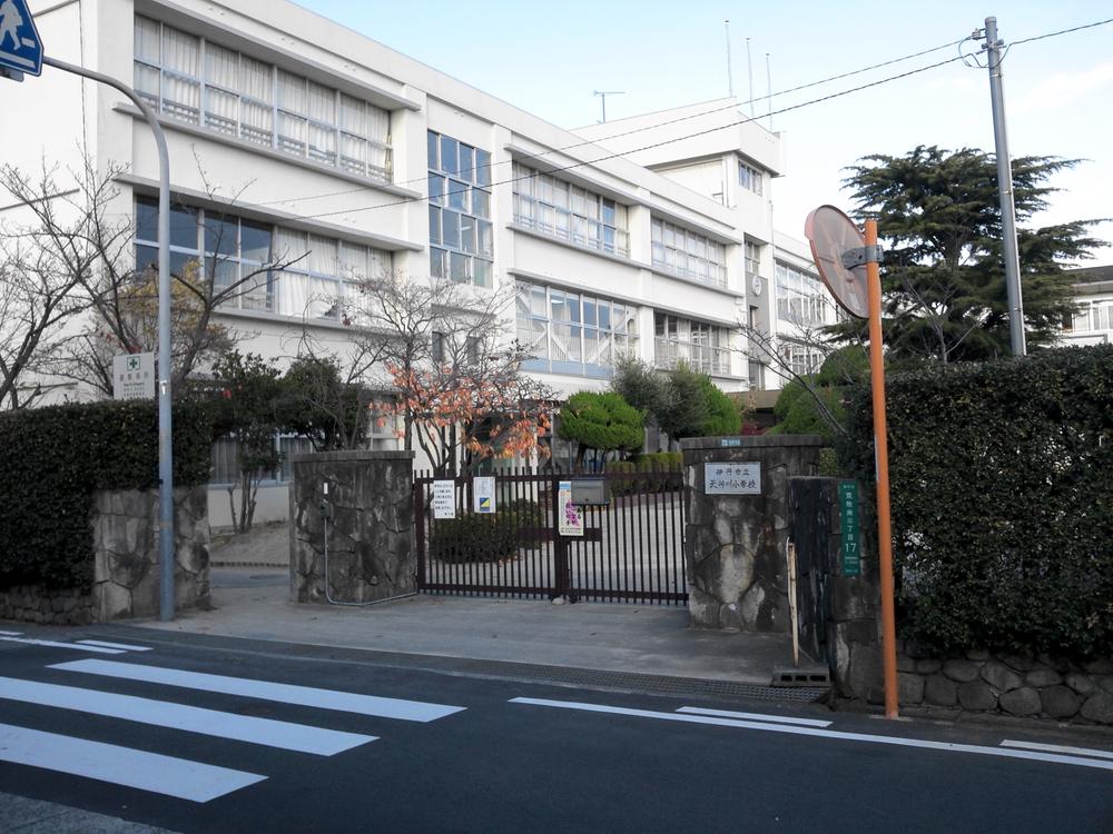 Primary school. Municipal god river up to Elementary School 1120m