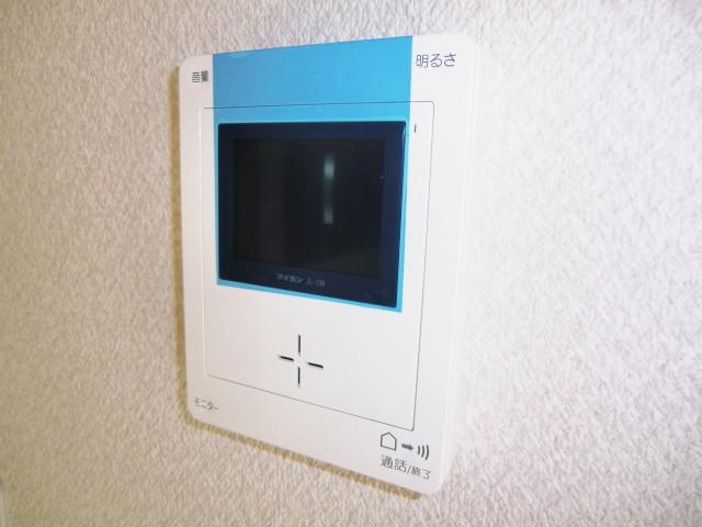 Security equipment. Local photos (color monitor intercom)