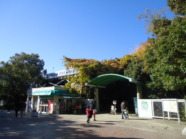 park. 1500m to Coyhaique park (park)