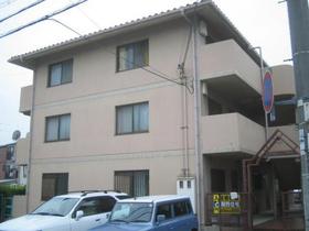 high school ・ College