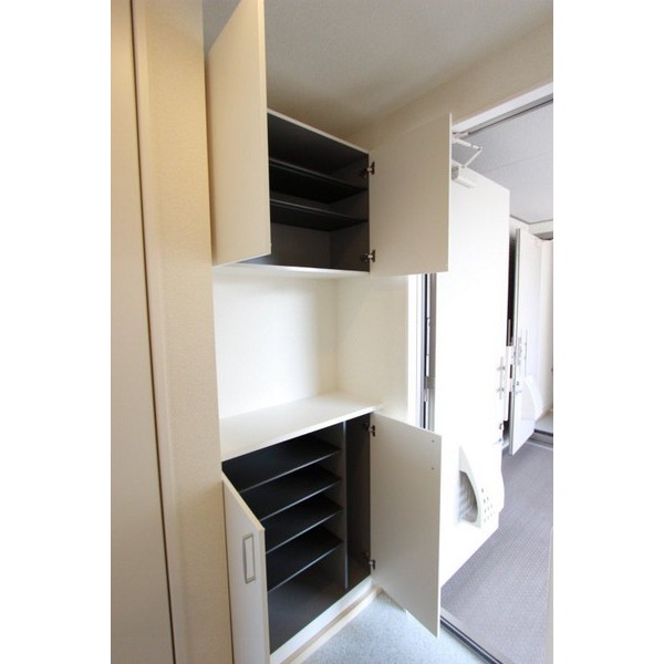 Other. It is a photograph of similar properties