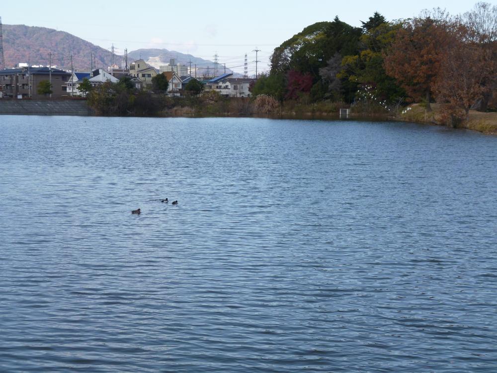 Other local. Local (12 May 2013) Shooting