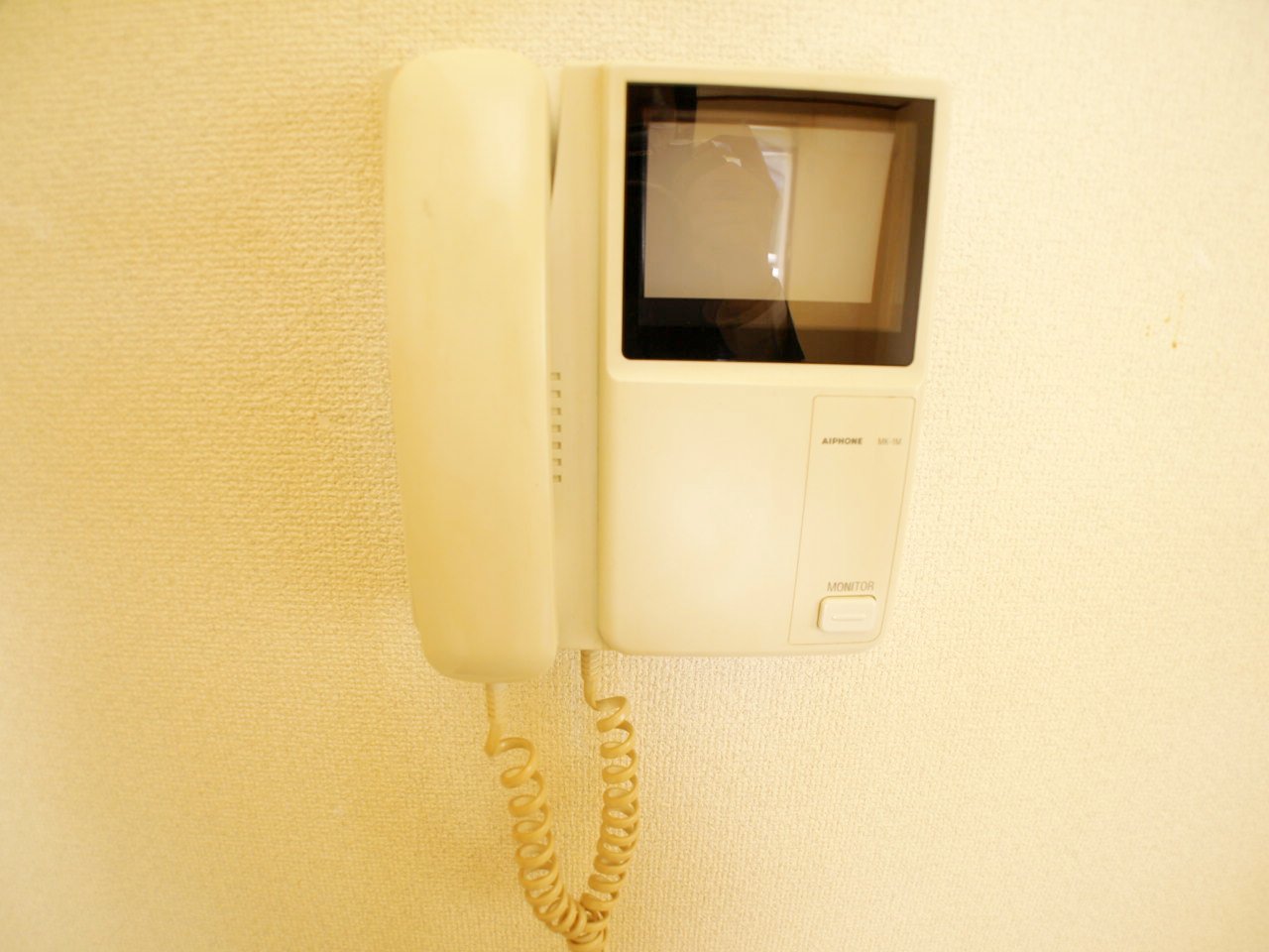 Security. TV Security Intercom is down pat.