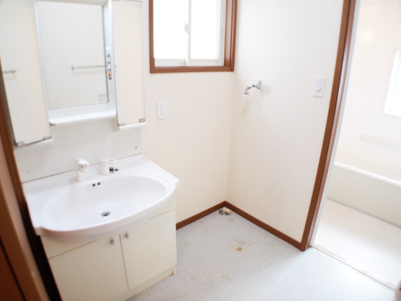 Washroom. Shampoo is Dresser.