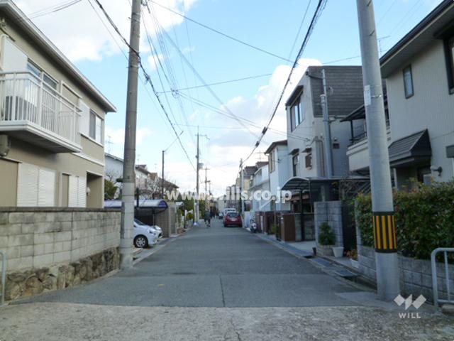 Local photos, including front road