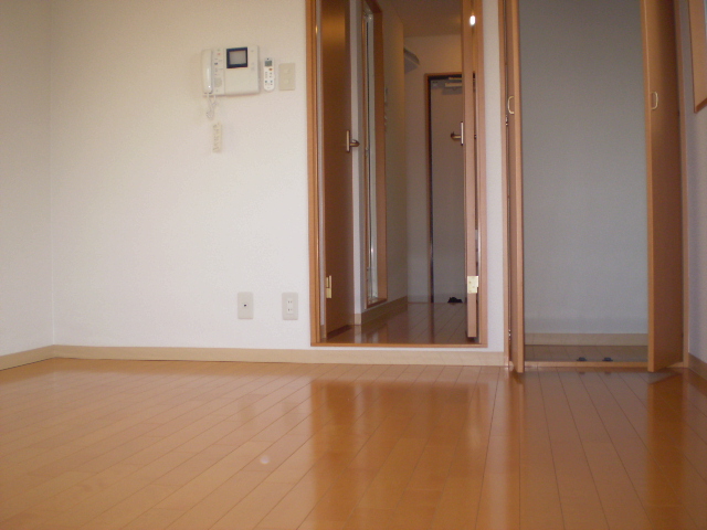 Living and room. 6.4 Pledge spacious room