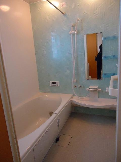 Bathroom. Indoor (12 May 2013) Shooting