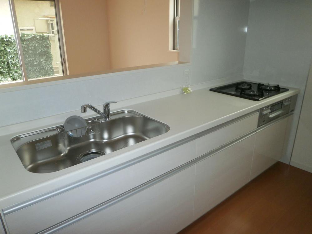 Kitchen. Indoor (12 May 2013) Shooting