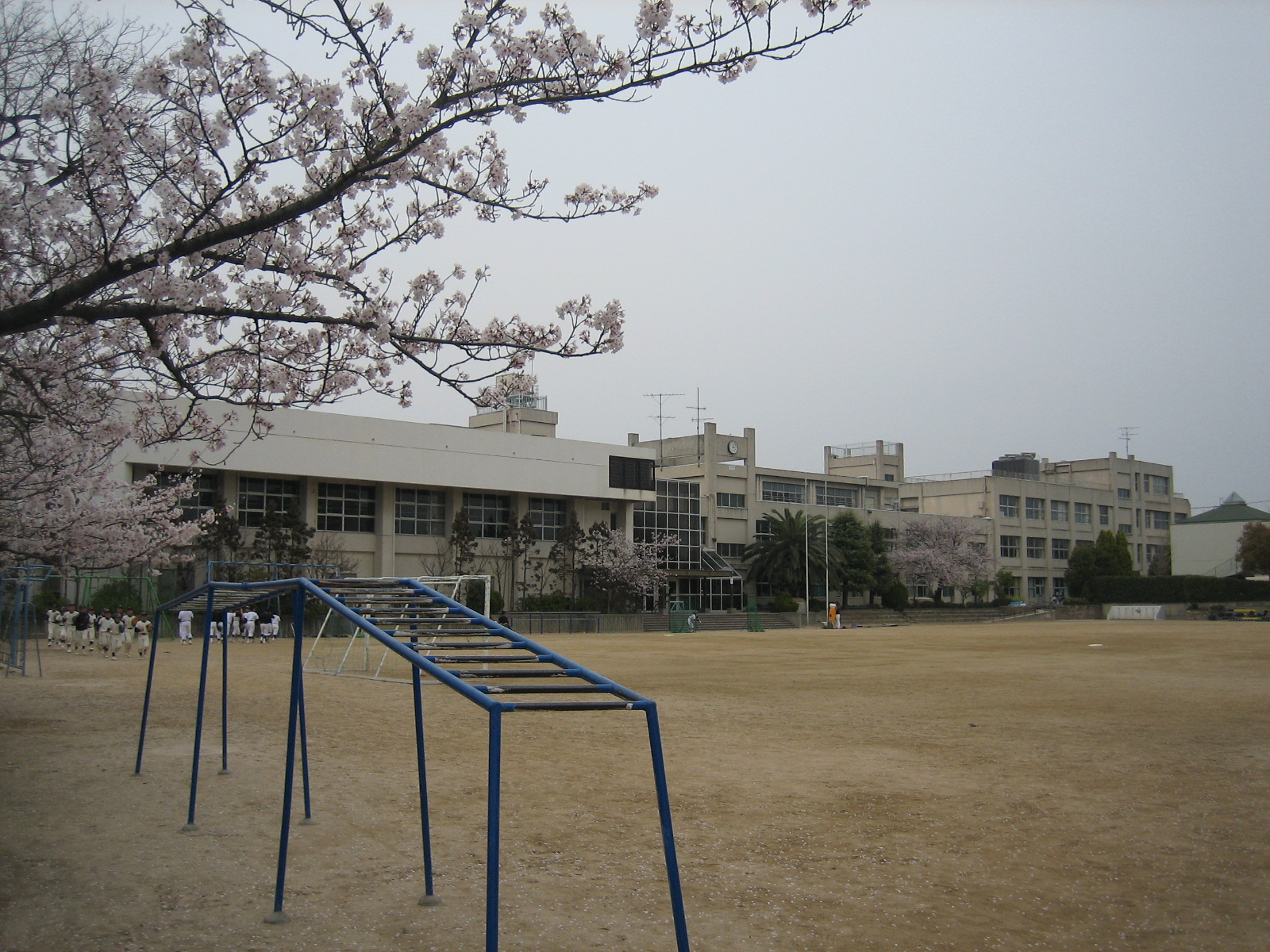 Primary school. 1158m to Itami Sakuradai elementary school (elementary school)