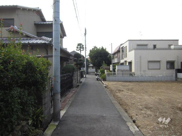 Local photos, including front road