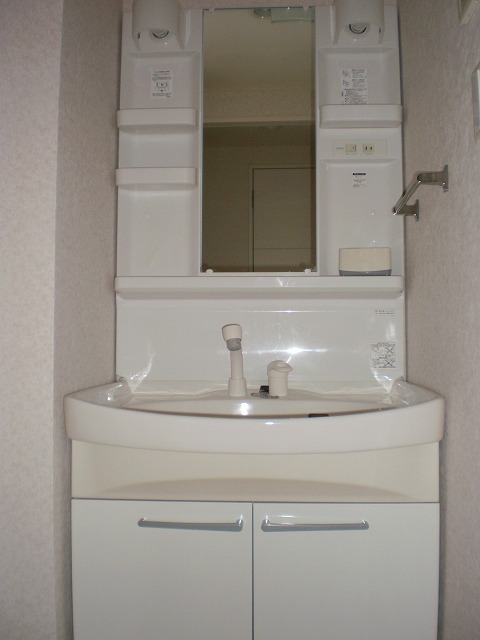 Washroom. Shampoo dresser