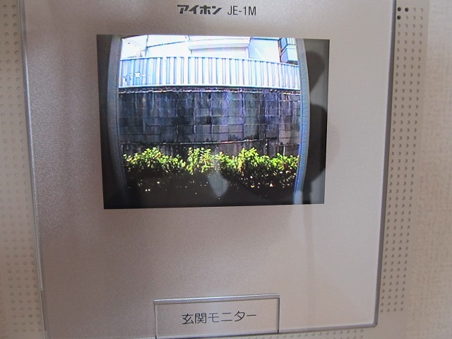 Security. Color monitor Hong