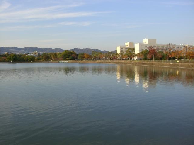 park. 400m to Coyhaique park