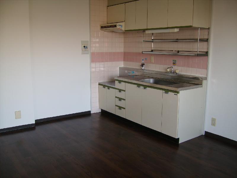 Kitchen. South-facing LDK